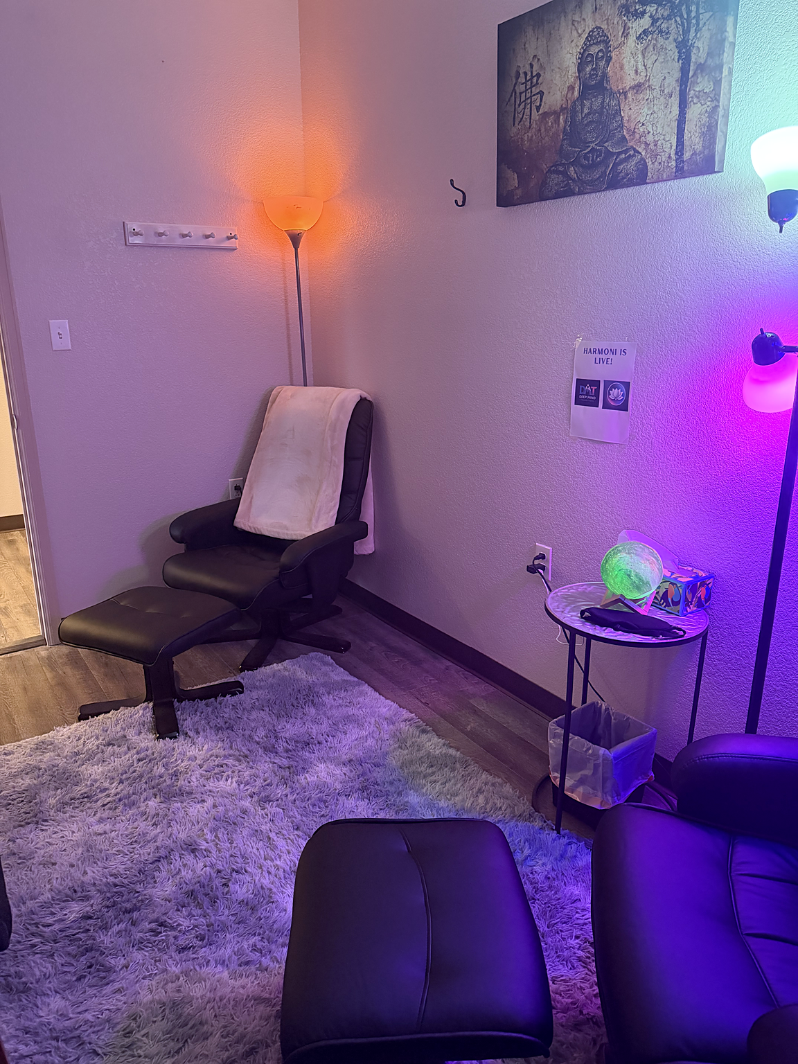 Another view of the Massage Haven studio room, with a reclining chair, lamps, and a rug